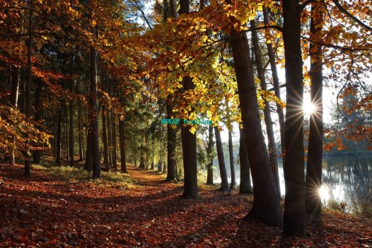 ripro v2火车头采集发布模块和接口