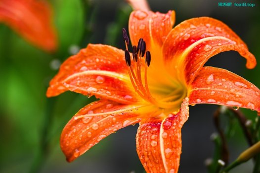 分享两个经典配色网站