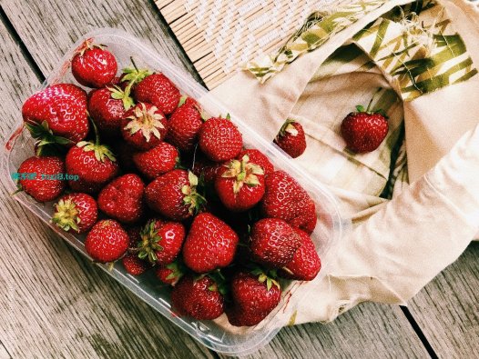 宝塔屏蔽不需要的蜘蛛