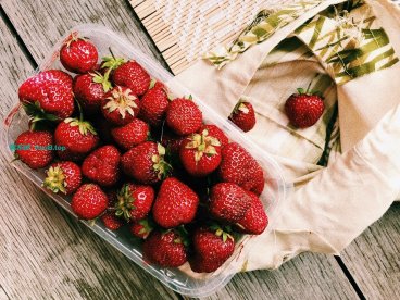 必应(Bing):2025年,中小站长值得搞的流量机会