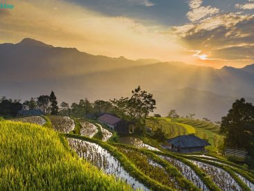 必应(Bing):2025年,中小站长值得搞的流量机会