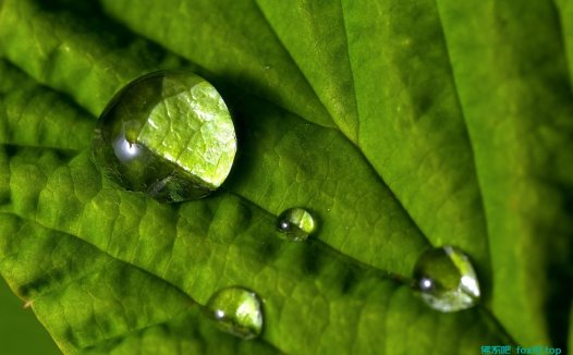 必应(Bing):2025年,中小站长值得搞的流量机会