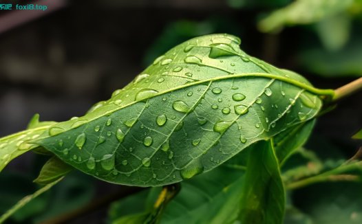 零基础使用DeepSeek高效提问技巧