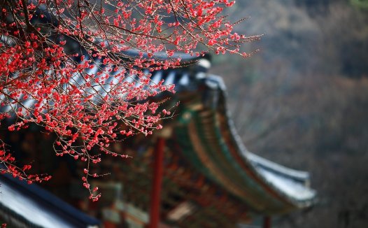 分享一个开源的书签管理程序Mtab