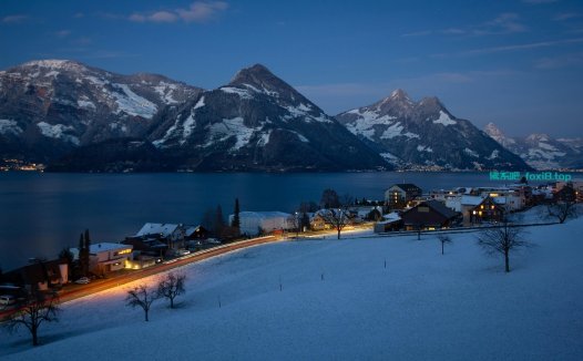 deepseek 应该怎样提问才高效