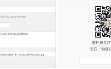 “Dsdiss Verification” 插件 隐藏文章内容引流到关注微信公众号