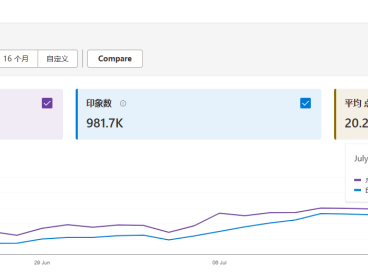必应SEO快速排名经验总结