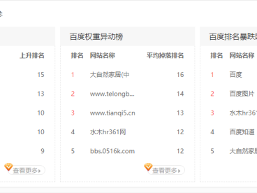 收录即出权重可以卖站的做法